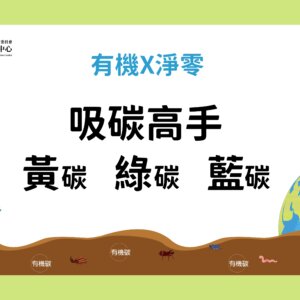 吸碳高手　黃碳綠碳藍碳